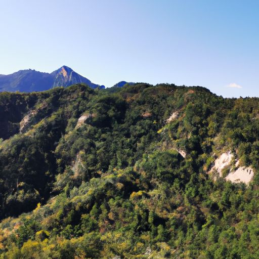京口什么一水间钟山只隔数重山