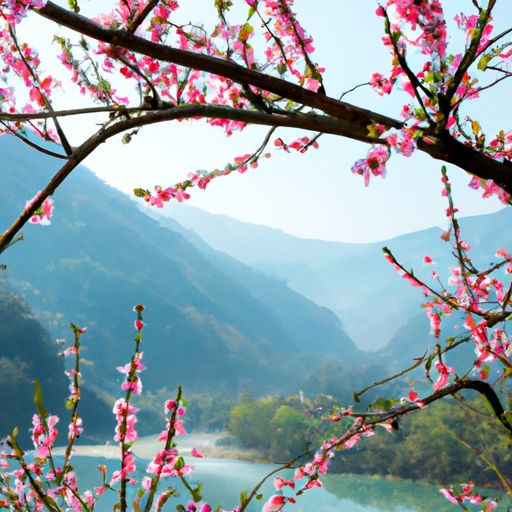 渔歌子里桃花是什么颜色的（渔歌子里桃花是什么颜色的呢）
