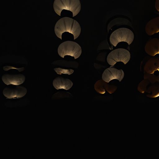寒灯独夜人什么意思（寒灯独夜人是什么意思）