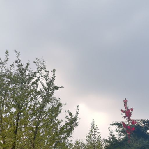 忽见陌头杨柳色和陌上桑中的陌是什么意思
