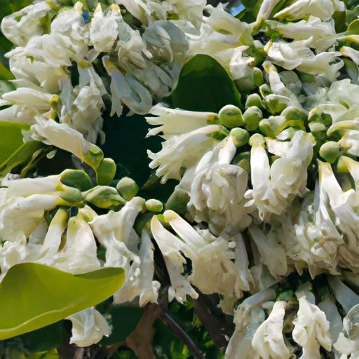 玉树后庭花是什么意思