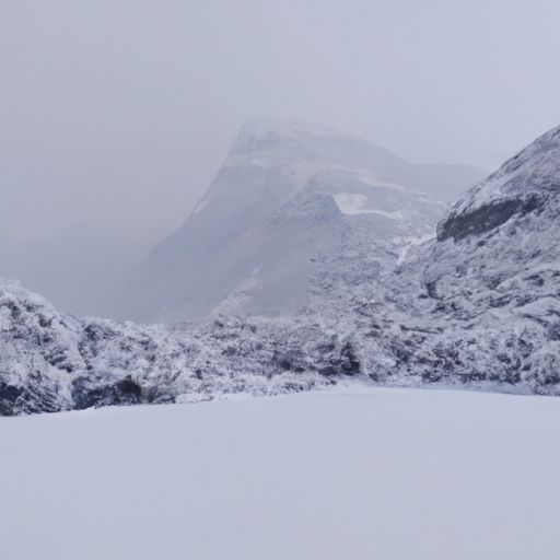三月春寒雪满山是什么意思（三月春寒雪满山的意思）