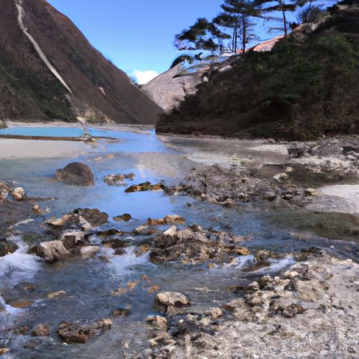 鹿柴王维这首诗写了什么的景色