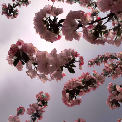 海棠未雨 梨花先雪是什么意思 海棠未雨 梨花先雪是什么意思