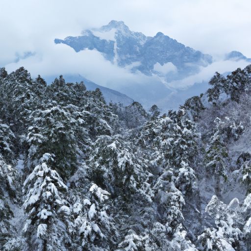窗什么西岭千秋雪