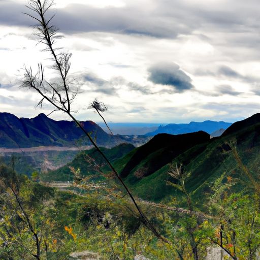 什么钟山只隔数重山