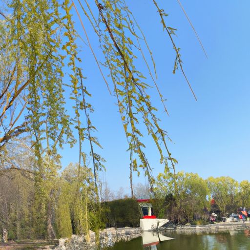 咏柳和春日写的内容都和什么有关（咏柳和春日写的内容都和什么有关系）