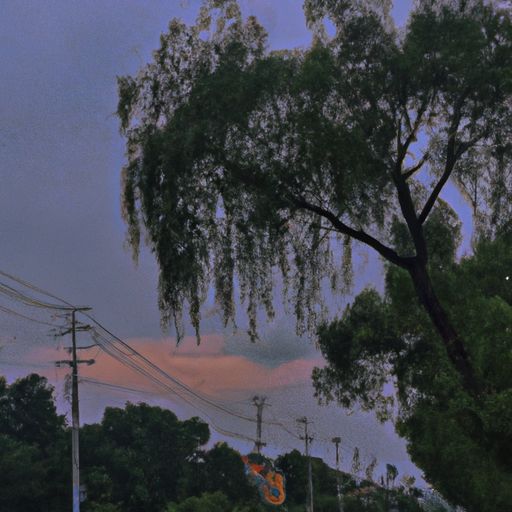长寂寥 自来去为什么用的好（长寂寥什么意思）