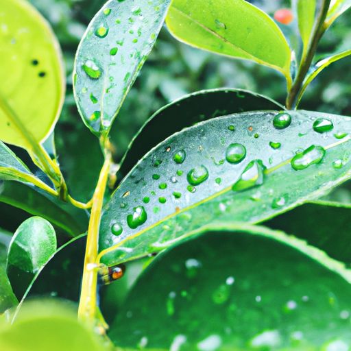 好雨知时节当春乃发生是什么意思