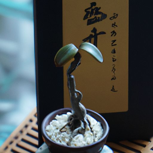 岁月荣枯无常什么意思（岁月荣枯有常）