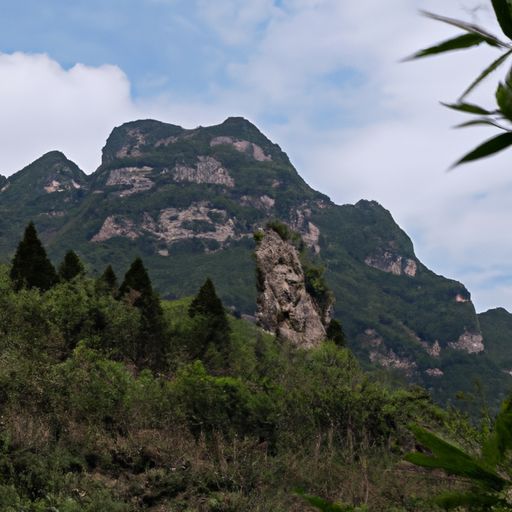 拈出退之山石句是什么意思（拈出退之山石句的意思）