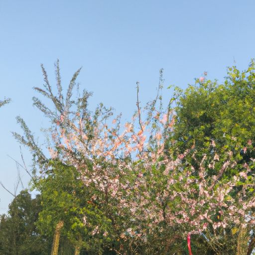 中通外直 不蔓不枝象征君子什么