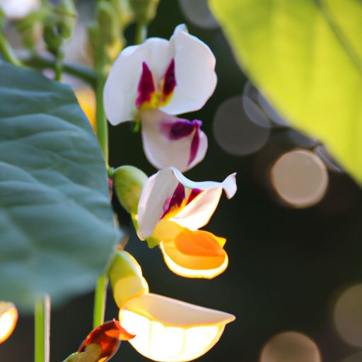什么得意马蹄疾一日看尽长安花（什么得意马蹄疾一日看尽长安花孟郊登科后）