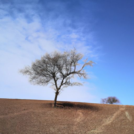 鹤栖君子树什么意思（鹤栖君子树,风拂大夫枝的意思）