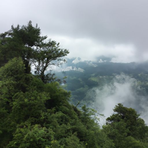 山中送别这首诗是在什么地点（山中送别这首诗是在什么地点写的）
