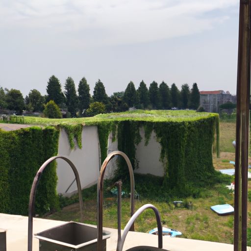 陆游的草地像什么（陆游的草地像什么比喻句）