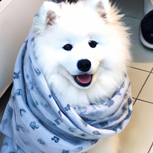 什么什么不及汪伦送我情