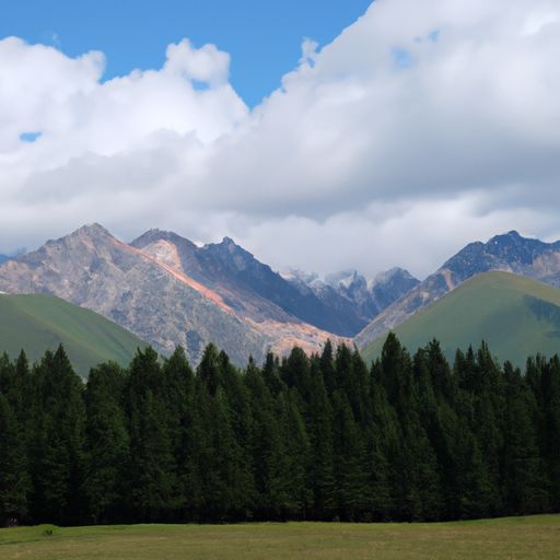 什么更无山与齐（什么更无山与齐上一句）