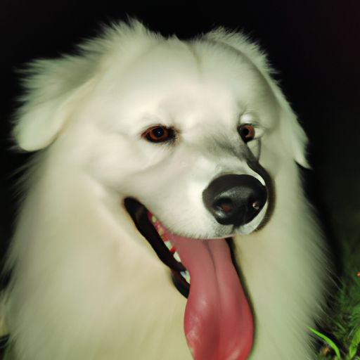 夜来听犬吠是什么生肖（夜来听犬吠是什么生肖动物）