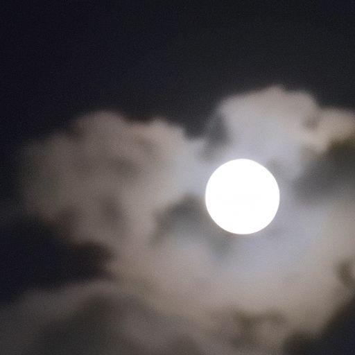 可怜什么夜什么似珍珠月似弓
