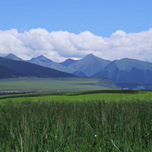 绿遍山原白满川的川是什么意思（绿遍山原白满川的川是什么意思?）