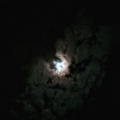明月游子惊秋风的全文是什么（明月秋风几处游）