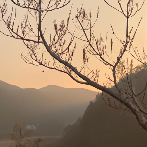 秋夕古诗的诗意什么（秋夕古诗的诗意什么意思啊）
