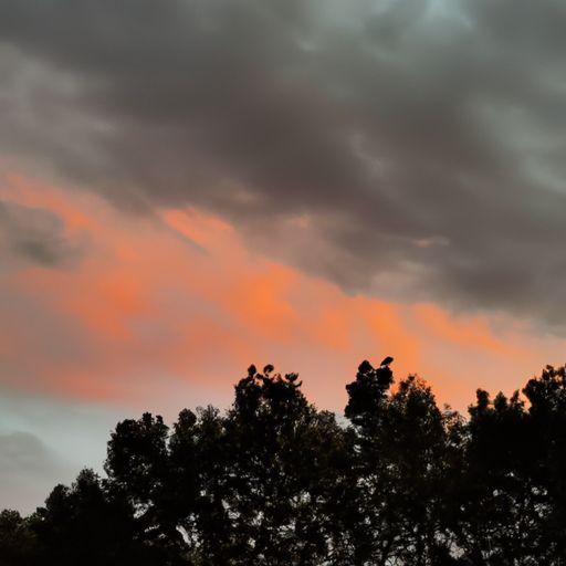 秋夕的诗意是什么（秋夕的诗意是什么意思）