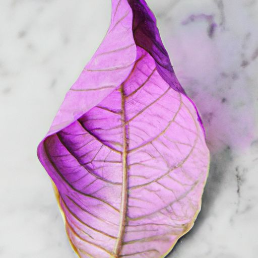 紫芽荏苒什么意思（紫芽荏苒,丹颖葳蕤）