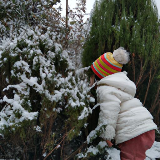童子开门雪满松是什么意思