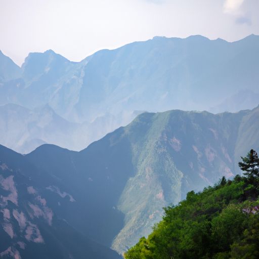 山行的整首诗是什么（山行的整首诗是什么意思）