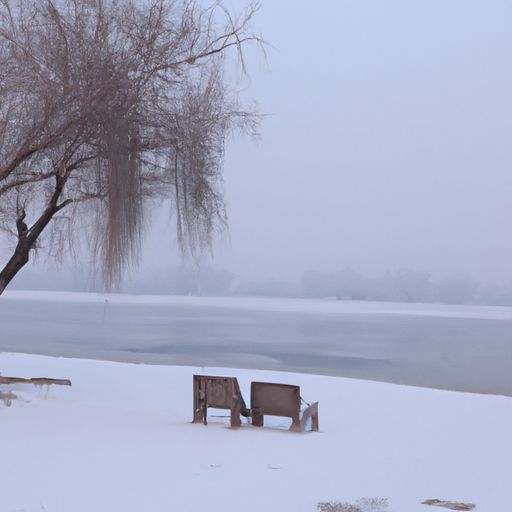 什么是雪昔（什么是雪飑）