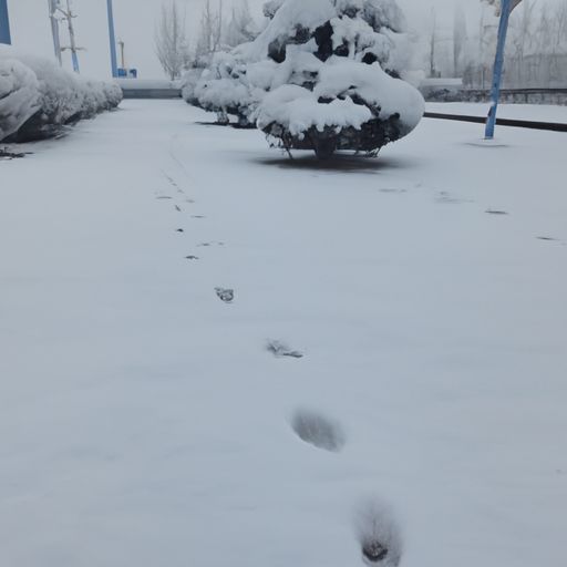雪的文言文意思是什么意思（雪的文言文意思是什么意思啊）