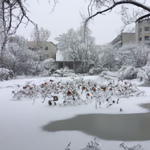 雪昔的做什么（雪葩的做法）