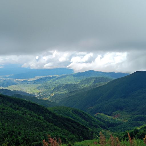 云白山青是什么意思（云白山青是什么意思啊）