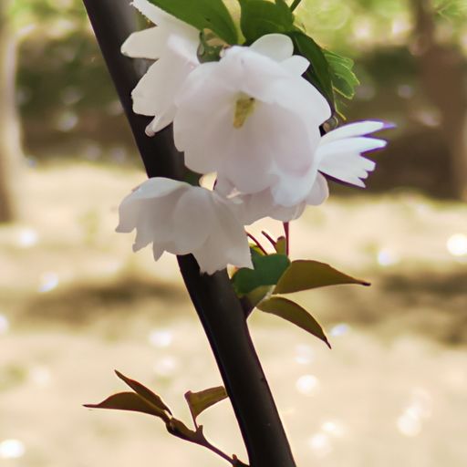 独唐的市花是什么