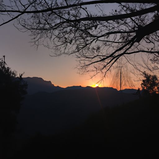 落日满秋山是什么意思（荒城临古渡落日满秋山是什么意思）