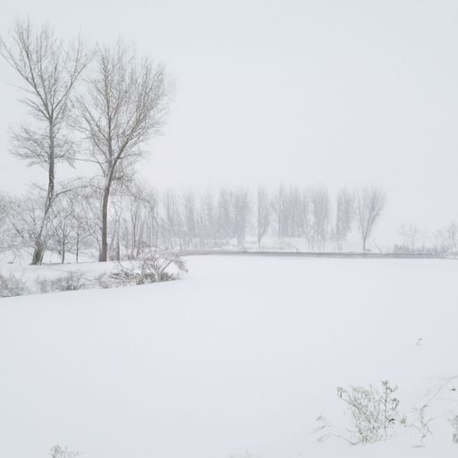 漫天春雪来什么意思（漫天春雪来,才抵梅花半什么意思）