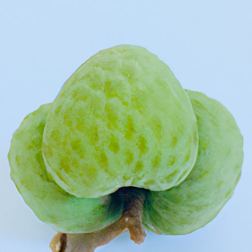 卿月益清澄什么意思（卿月益清澄,将星转光芒翻译）