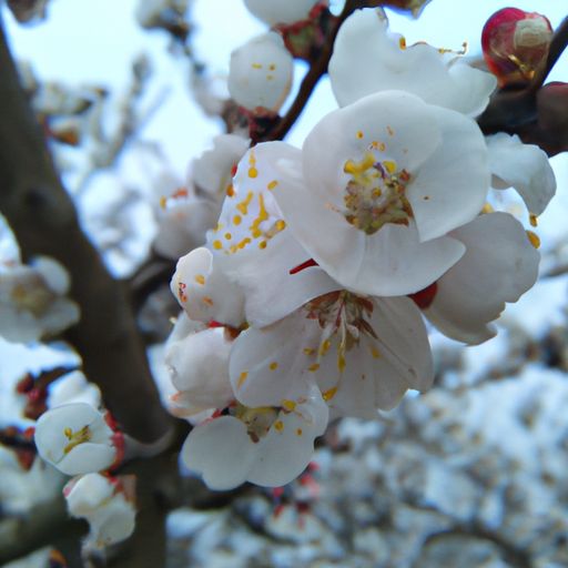 春寒勒住花梢什么意思（春寒解释）
