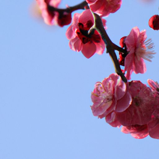踏芳枝 芳枝什么意思（什么叫踏芳枝）