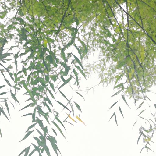 咏柳写出柳树的什么（咏柳写出柳树的什么特点）