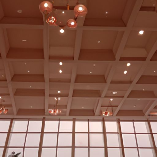 灯明方丈室是什么意思（灯明方丈啥梗）