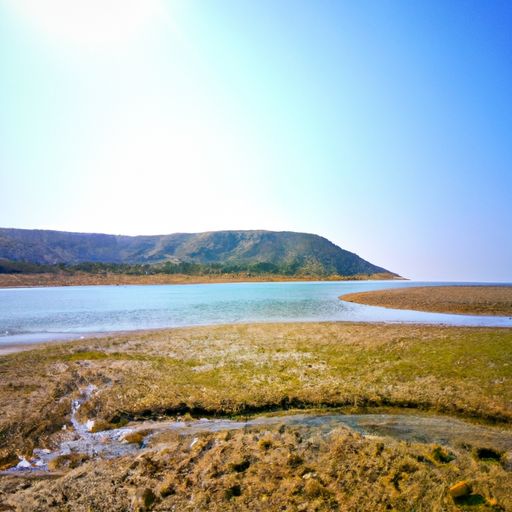 秦观的浣溪沙是什么意思（秦观写的浣溪沙）