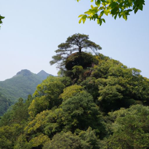 山行的古诗是什么（山行的古诗是什么季节）