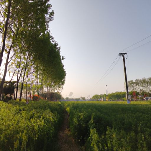 天净沙春是什么意思