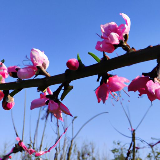 花什么月什么诗句（花什么月什么诗句大全）