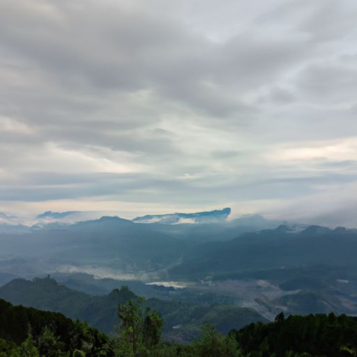 岭头云是什么意思（长丰县公共资源交易中心网站）
