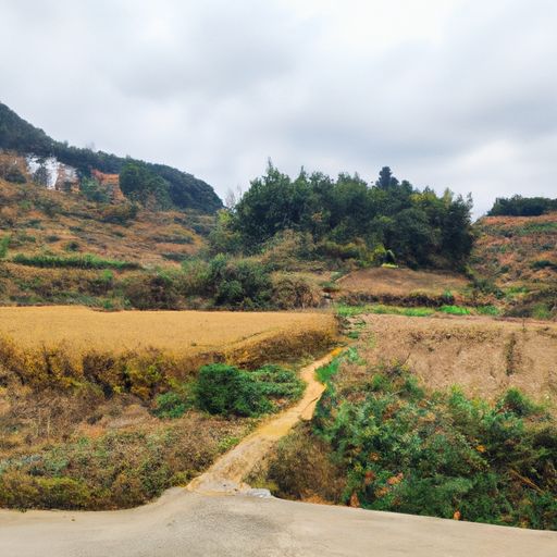 田间是什么代诗人（田间是什么诗派的诗人）