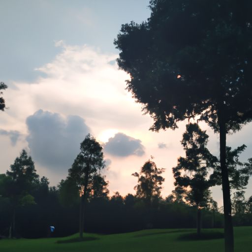 自哂的诗是什么意思（自斨的意思）